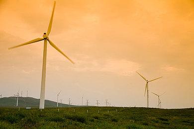 Steam版不在其中！《黑神话：悟空》PC端更新上线